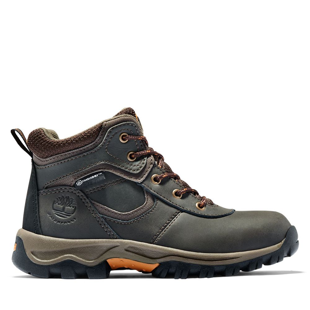 Botas de Montaña Timberland Niños Youth Mt. Maddsen Waterproof Marrones Oscuro - Chile UXN-589274
